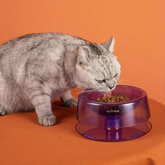 Adjustable Elevated Cat Feeder Bowl for Spine Protection