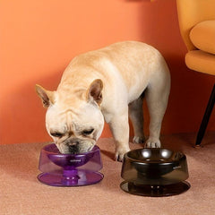 Adjustable Elevated Cat Feeder Bowl for Spine Protection