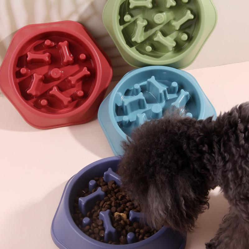 Pet Slow Feeder Bowl for Controlled Eating Speed