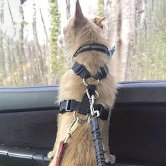 Pet Car Seat Belt For Dog Outdoor Safety Protection Traction Rope