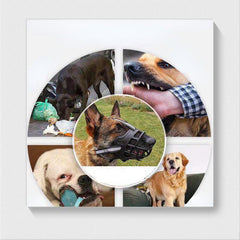 Adjustable Breathable Dog Muzzle for Biting Chewing Barking Training