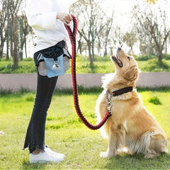 Waterproof Dog Treat Pouch for Training and Outdoor Activities