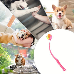 Pet Tossing Club Toy Ball Thrower With Tennis Training