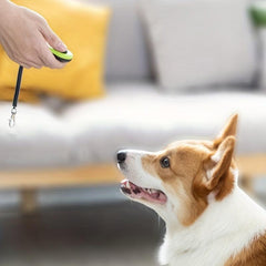 Dog Training Clicker With Lanyard Durable Portable Dog Toy