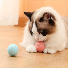 Pet Automatic Ball Cat Teaser Toy Interactive Toy For Cat