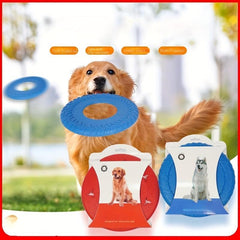 Dog Flying Disc Toy Lightweight & Durable