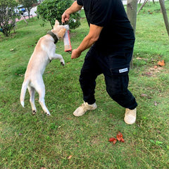 Durable Cotton Pet Dog Tear Bite Training Rod Tug With Dual Handles