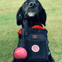 Silicone Pet Toy Tennis Ball Holder for Endless Fun