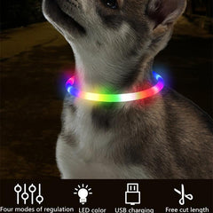 RGB LED Dog Collar for Night Safety