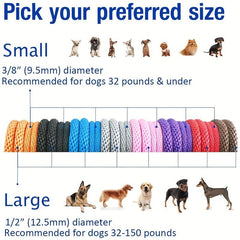 Heavy Duty Escape Proof Dog Leash for Outdoor Walking