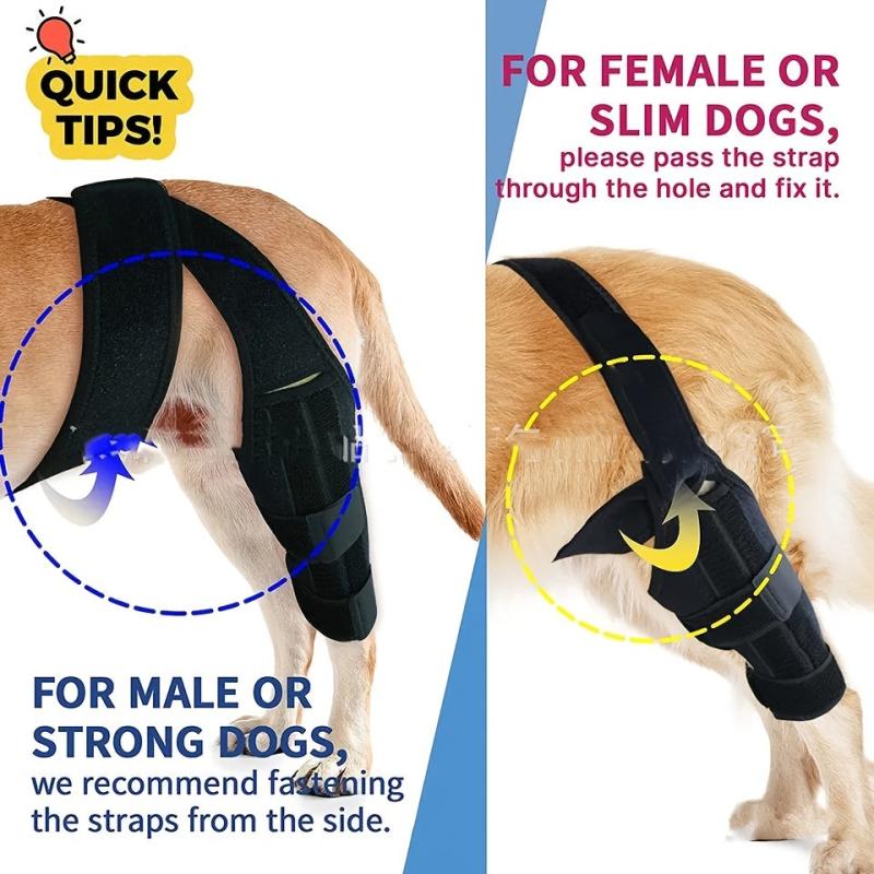 Adjustable Dog Rear Leg Braces Knee Pads Joint Protection Sleeve