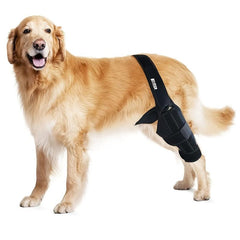 Adjustable Dog Rear Leg Braces Knee Pads Joint Protection Sleeve