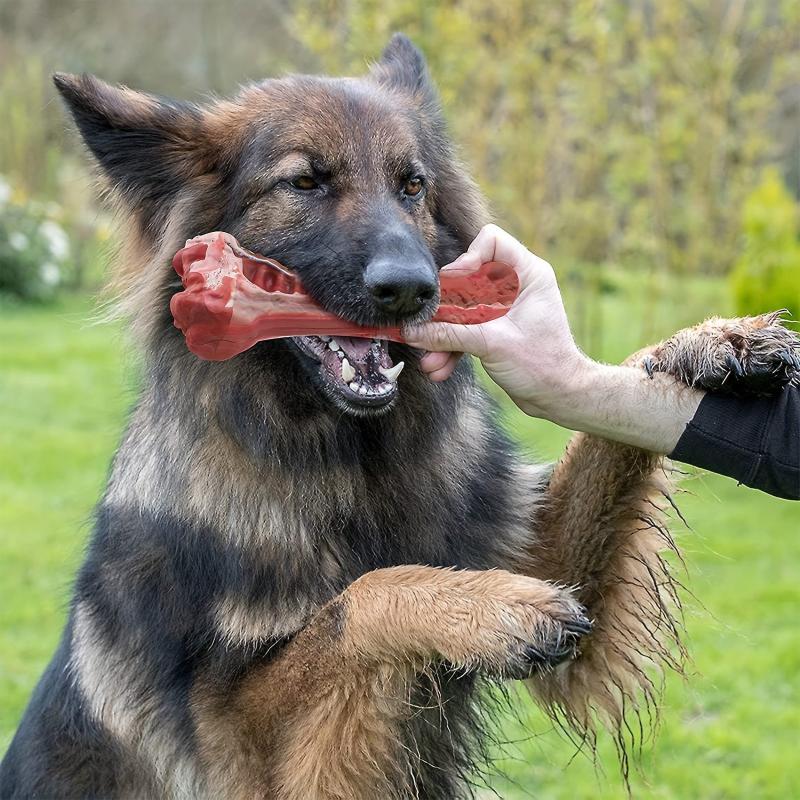Indestructible Dog Chew Bone for Aggressive Chewers - Natural Rubber Toy