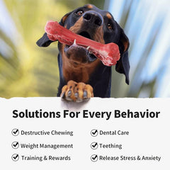 Indestructible Dog Chew Bone for Aggressive Chewers - Natural Rubber Toy
