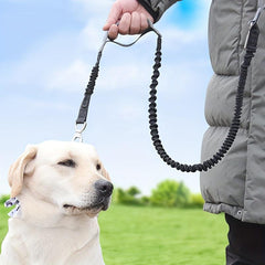 Durable Dog Training Bungee Leash Reflective Safety Belt