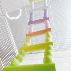 Colorful Parrot Climbing Ladder and Swing Set