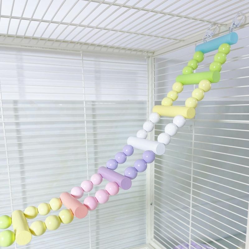 Colorful Parrot Climbing Ladder and Swing Set