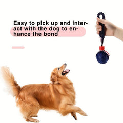 Dog Training Kit - Leash, Whistle, Signal for Cooperation