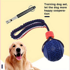 Dog Training Kit - Leash, Whistle, Signal for Cooperation