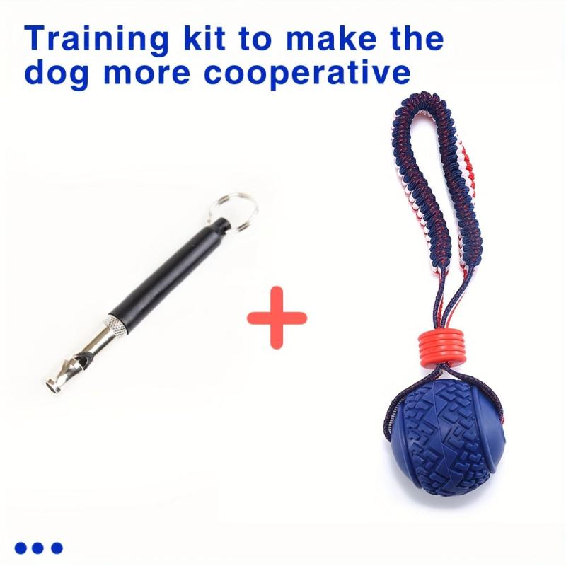 Dog Training Kit - Leash, Whistle, Signal for Cooperation