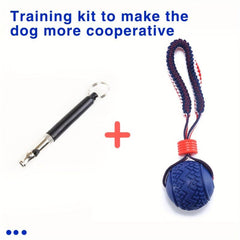 Dog Training Kit - Leash, Whistle, Signal for Cooperation