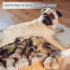 15 Random Puppy ID Collars Soft Fabric Adjustable Newborn Identification Collar