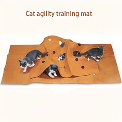 Cat Behavior Training Mat Interactive Cat Maze Pet Toy