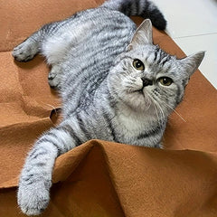 Cat Behavior Training Mat Interactive Cat Maze Pet Toy