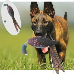 Duck Bumper Dog Toy for Training Dogs
