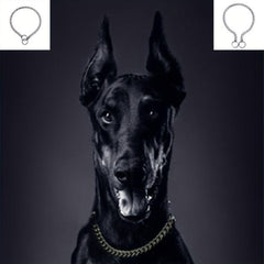 Adjustable Dog Chain Collar for Training - P Chain Dog Collar