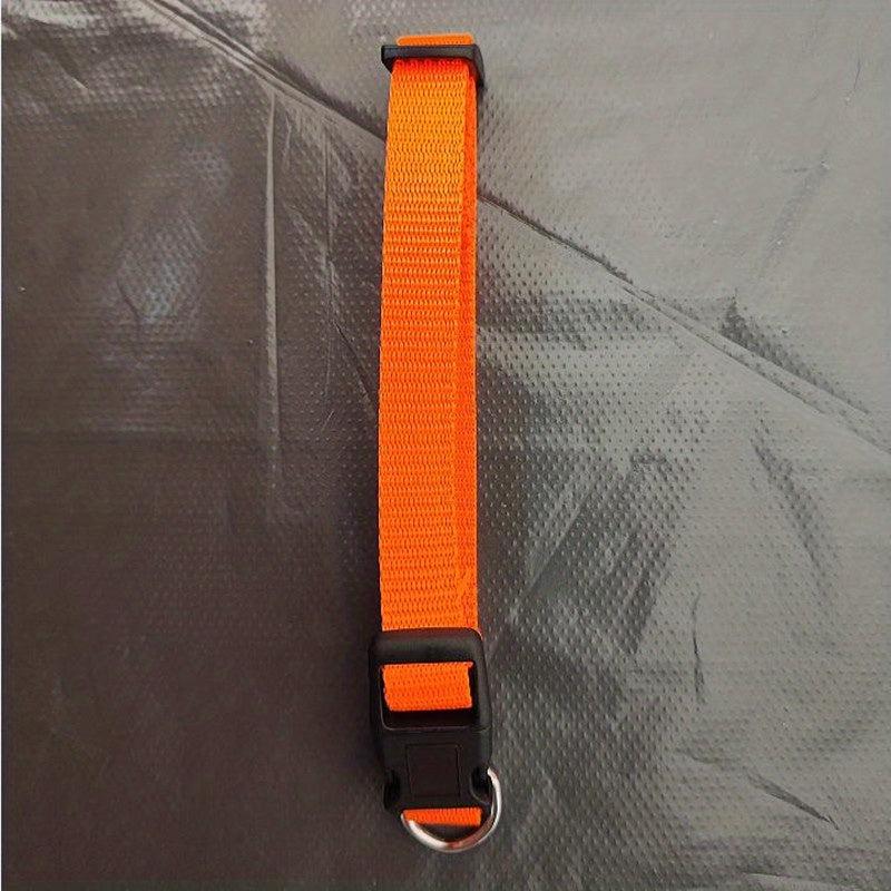 Nylon Pet Collar for Cats and Dogs - Large, Medium, Small Breeds