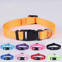 Nylon Pet Collar for Cats and Dogs - Large, Medium, Small Breeds