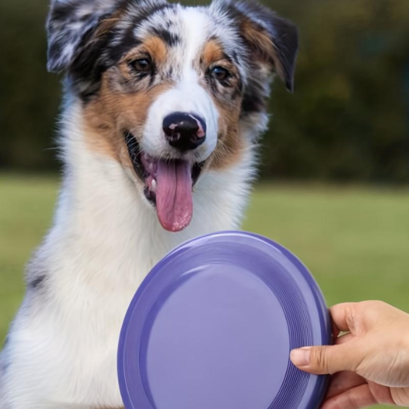 Flying Disc Toy For Dogs Bite Resistant Random Assorted