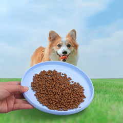Flying Disc Toy For Dogs Bite Resistant Random Assorted