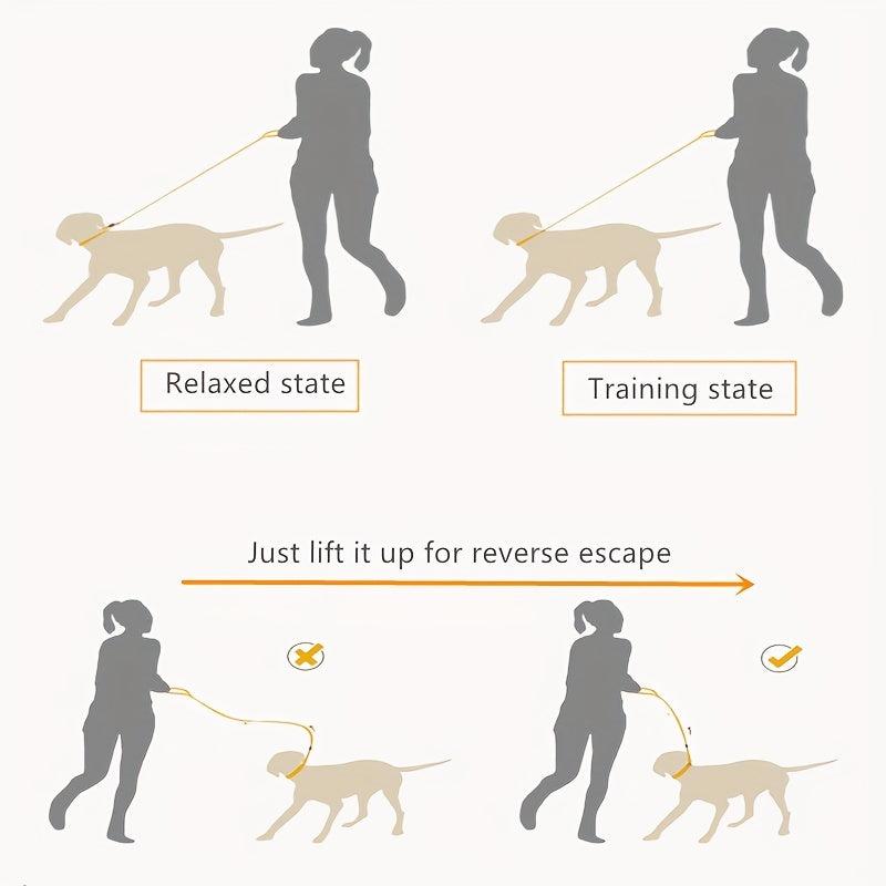 Adjustable Dog Training Lead Leash Rope For Outdoor Walking