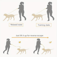 Adjustable Dog Training Lead Leash Rope For Outdoor Walking