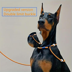 Adjustable Dog Training Lead Leash Rope For Outdoor Walking