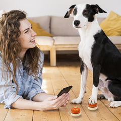 Dog Training Bells Pet Potty Training Bells for Dogs and Cats Door Bells