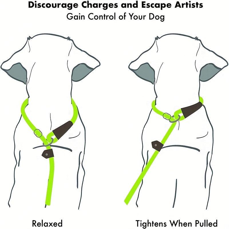 Heavy Duty Striped Dog Slip Lead Leash - No Pull Pet Training Leash