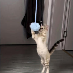 Interactive Hanging Cat Ball Toy with Bell