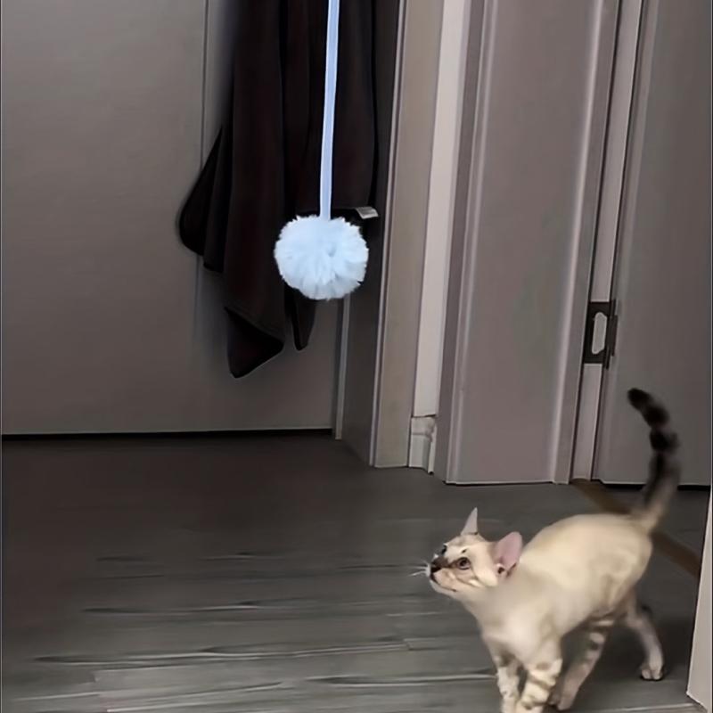 Interactive Hanging Cat Ball Toy with Bell