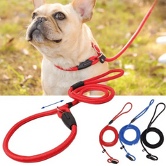 Adjustable Nylon Training Dog Leash for Small Medium Large Dogs