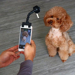 Pet Selfie Stick Training Toy for Dogs