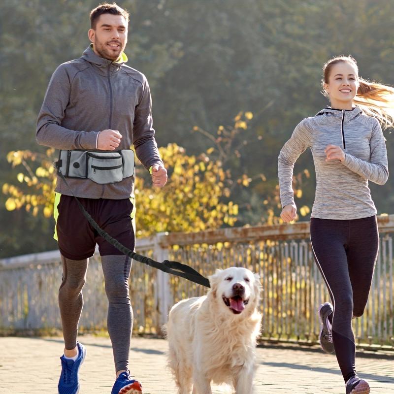 Adjustable Pet Training Bag Portable Dog Walking Snack Bag
