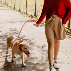 P Rope Dog Leash Medium Large Dog Training Leash Small Dog P Chain