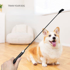 Interactive Flirt Pole Toy for Dogs Outdoor Exercise and Training