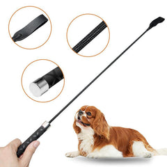Interactive Flirt Pole Toy for Dogs Outdoor Exercise and Training
