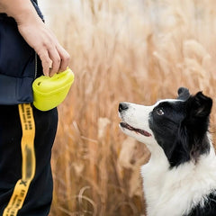 Convenient Portable Dog Training Bag
