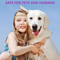 Calming Collar for Cats and Dogs Anxiety Relief Safety