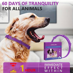 Calming Collar for Cats and Dogs Anxiety Relief Safety